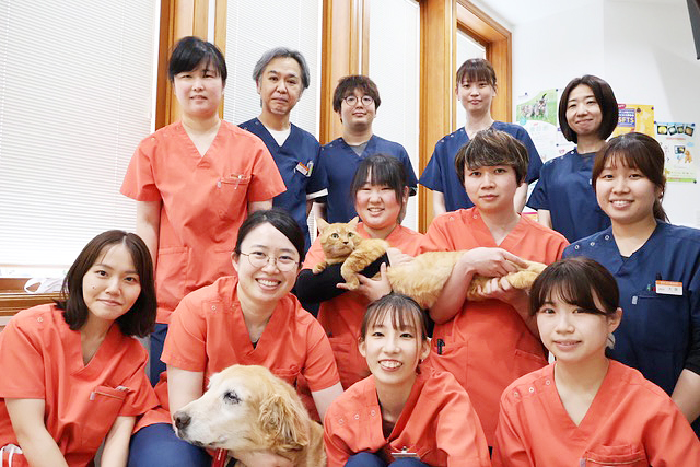 志木市柏町・志木いわい動物病院・スタッフ